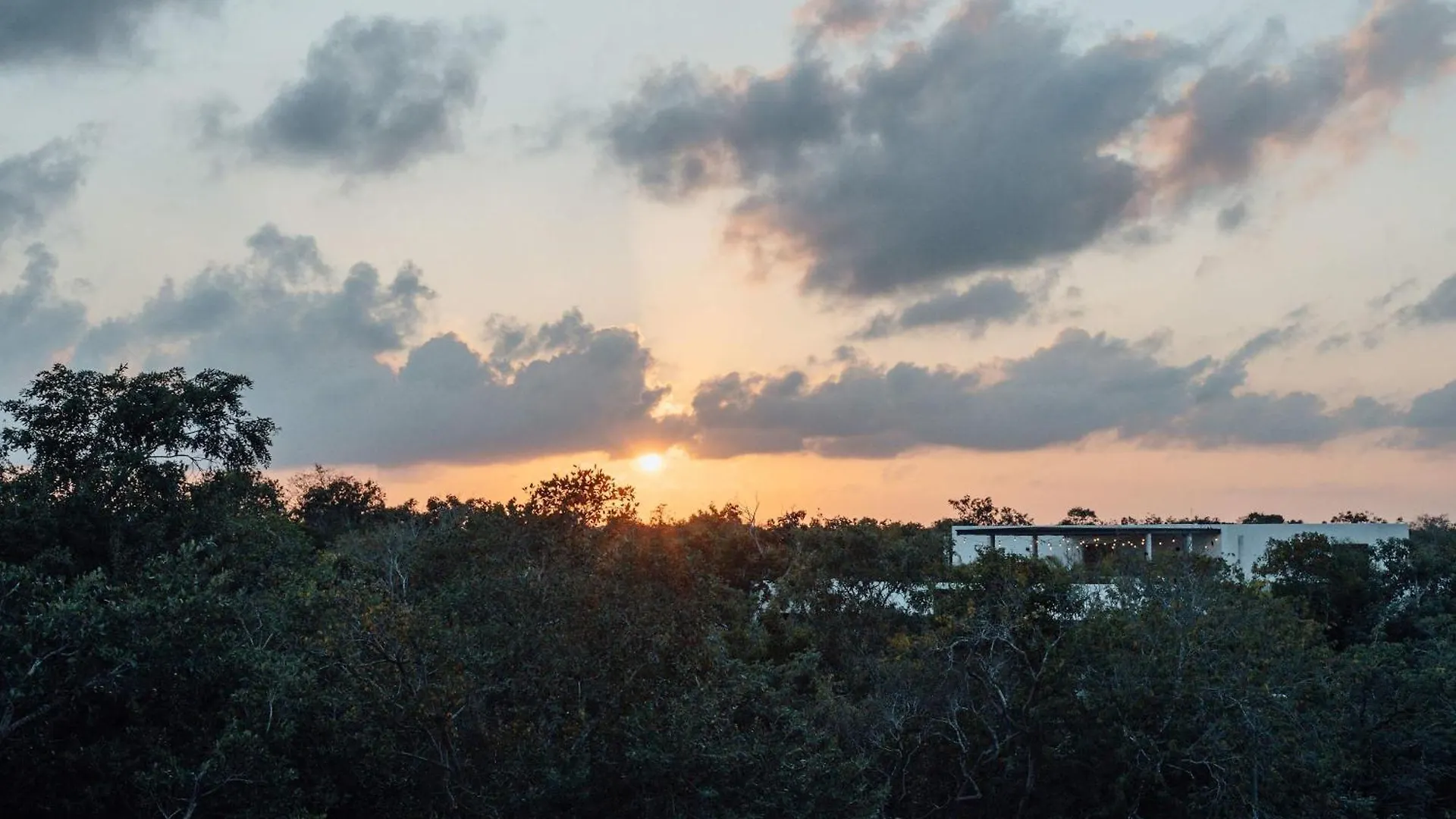 Apartment Modern Loft In Tulum With 1 Bedroom Mexico